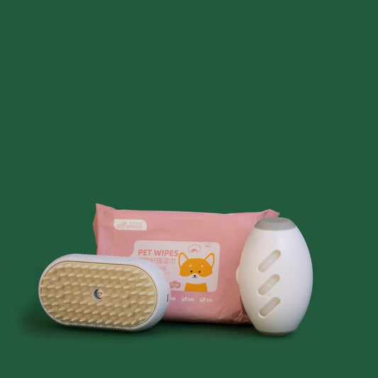 CLEAN ROUTINE BUNDLE