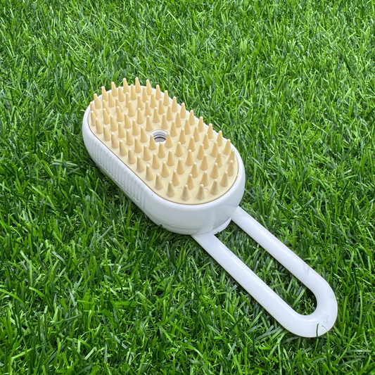 STEAM BRUSH