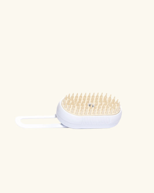 Steam Brush
